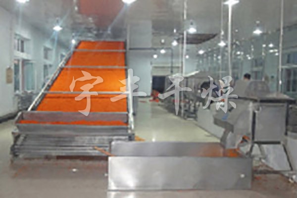 DWT series dehydrated vegetable dryer